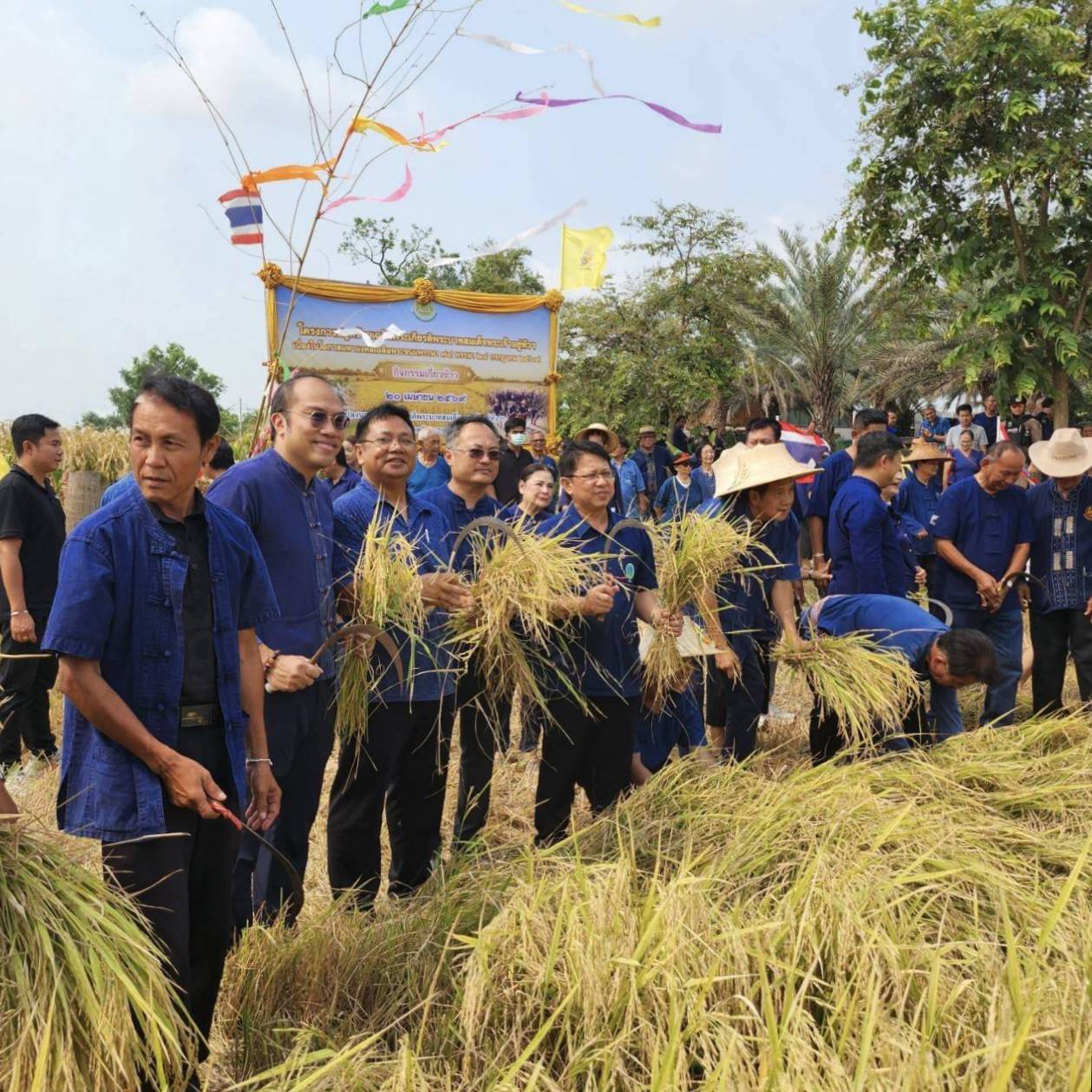 title - ปฏิรูปที่ดินจังหวัดพระนครศรีอยุธยา ร่วมกิจกรรมเกี่ยวข้าว ภายใต้โครงการ “ปลูกข้าวเฉลิมพระเกียรติพระบาทสมเด็จพระเจ้าอยู่หัวฯ เนื่องในโอกาสมหามงคลเฉลิมพระชนมพรรษา ๗๔ พรรษา ๒๘ กรกฎาคม ๒๕๖๙” 